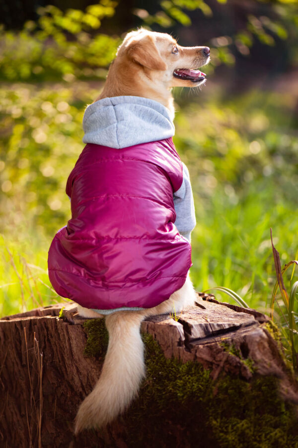 Vsepropejska Tabs bunda pro psa Barva: Růžová