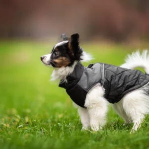 Vsepropejska Terenc obleček pro psa na zip Barva: Černá