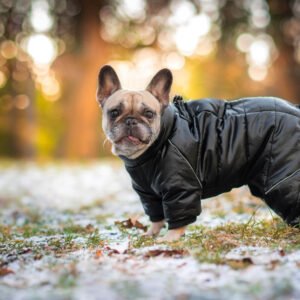 Vsepropejska Toshi teplá kombinéza s postrojem Barva: Černá