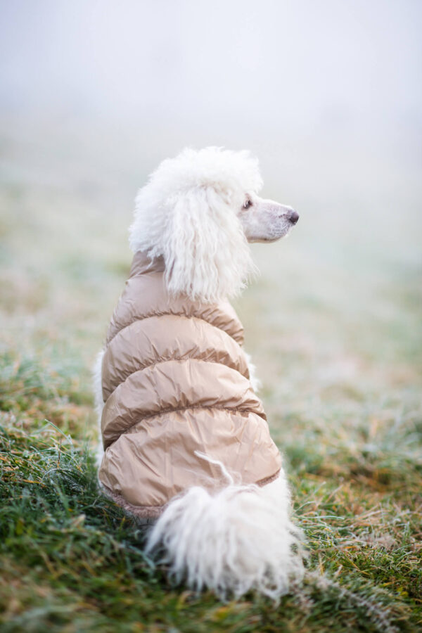 Vsepropejska Warm zimní bunda pro psa s kožichem Barva: Béžová