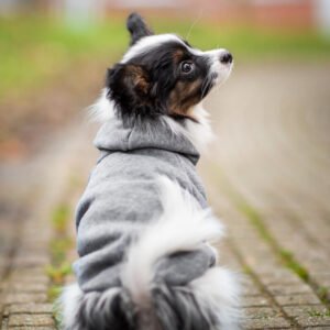 Vsepropejska Zupo mikina pro psa Barva: Šedá