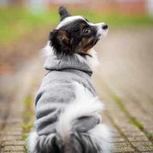 Vsepropejska Zupo mikina pro psa Barva: Šedá