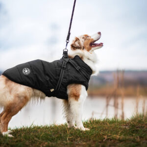 Vsepropejska Achar zimní bunda pro psa s postrojem Barva: Černá