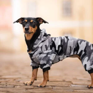 Vsepropejska Azmik fleecová kombinéza pro psa Barva: Šedá