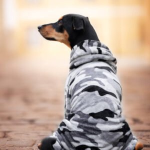 Vsepropejska Azmik fleecová kombinéza pro psa Barva: Šedá