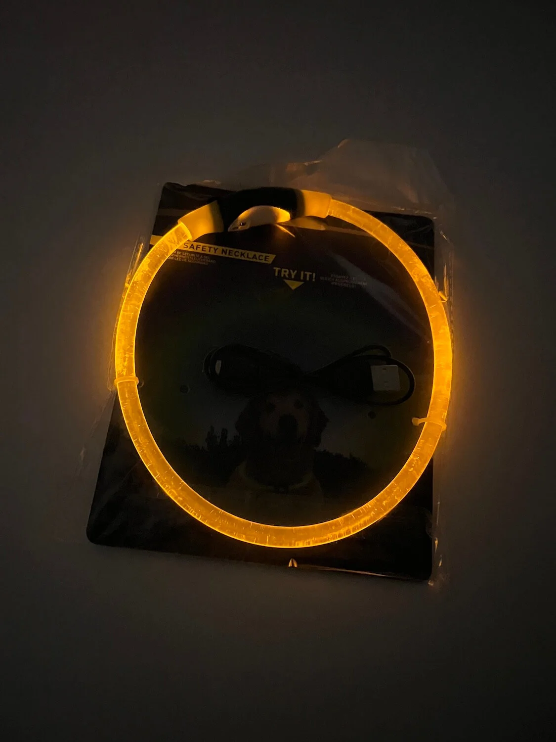 Vsepropejska Blesk LED nabíjecí obojek pro psa Barva: Oranžová