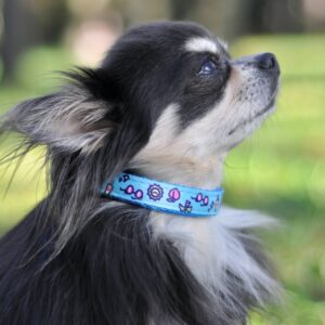 Vsepropejska Blue modrý obojek pro psa Barva: Modrá