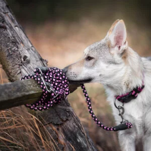 Vsepropejska Climb přepínací vodítko pro psa | 280 cm Barva: Růžová
