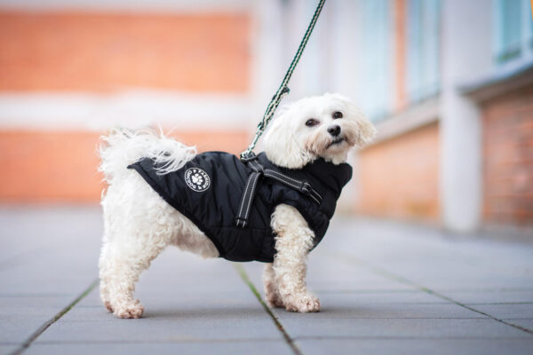 Vsepropejska Filip obleček pro psa na zip Barva: Černá