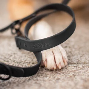 Vsepropejska Flip silikonové přepínací vodítko pro psa | 260 cm Barva: Černá