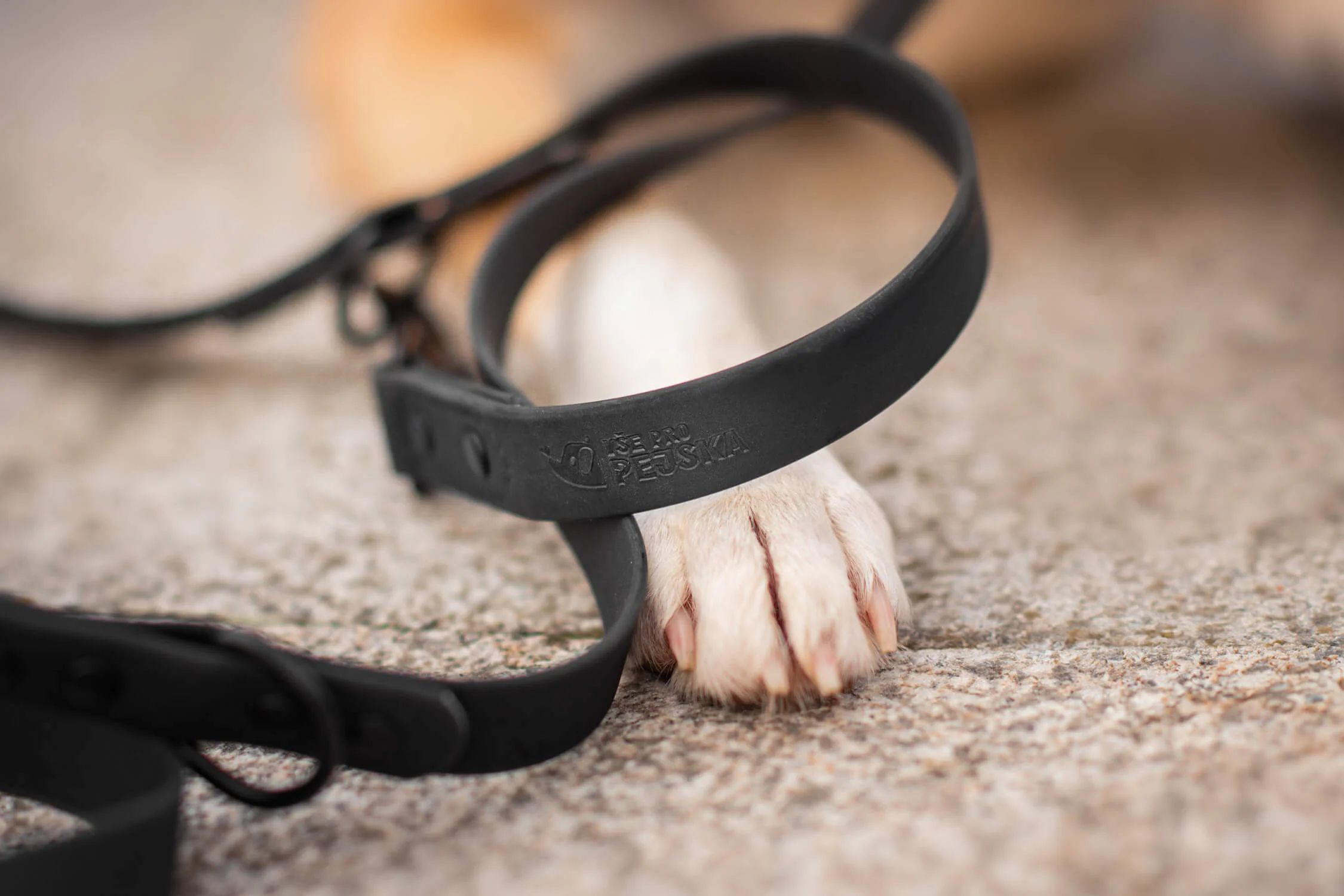 Vsepropejska Flip silikonové přepínací vodítko pro psa | 260 cm Barva: Černá