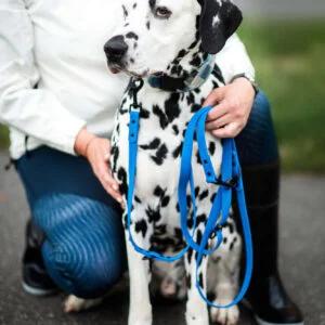 Vsepropejska Flip silikonové přepínací vodítko pro psa | 260 cm Barva: Modrá