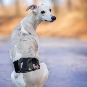 Vsepropejska Hans protiznačkovací pás pro psa Barva: Zelená