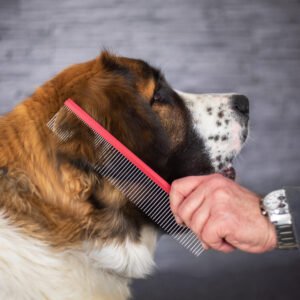 Vsepropejska Hektor kovový hřeben pro psa Rozměr (cm): 25