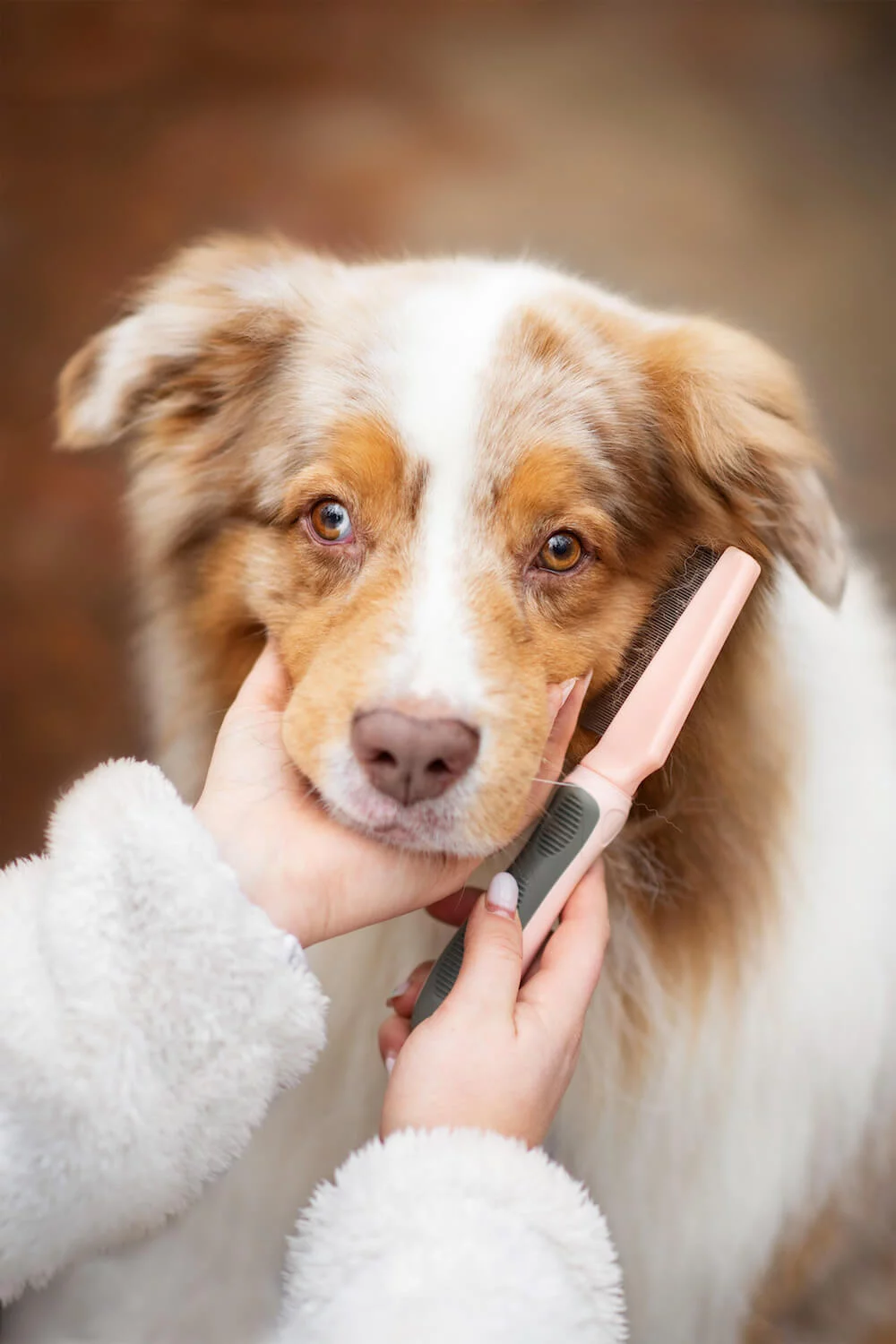 Lois hřeben pro psa na blechy | 20 cm Barva: Růžová - Obrázek 2