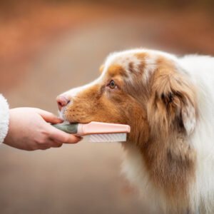Vsepropejska Lois hřeben pro psa na blechy | 20 cm Barva: Růžová