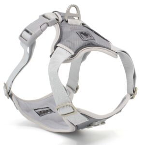 Vsepropejska Ricota sportovní kšíry pro psa | 36 – 73 cm Barva: Šedá