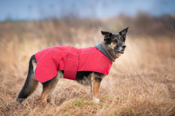 Vsepropejska Servác zateplená bunda pro psa Barva: Červená