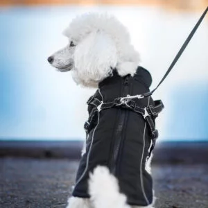 Vsepropejska Stuart obleček pro psa na zip Barva: Černá