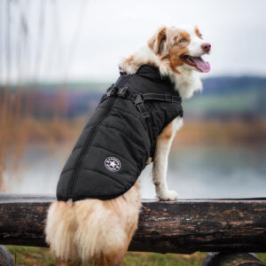 Vsepropejska Achar zimní bunda pro psa s postrojem Barva: Černá