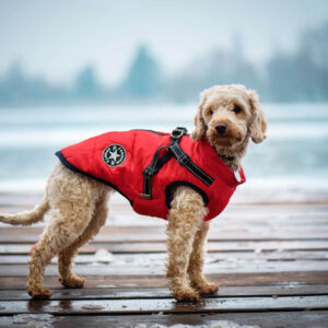 Vsepropejska Achar zimní bunda pro psa s postrojem Barva: Červená