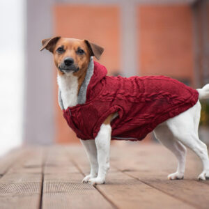 Vsepropejska Argo zateplený svetr pro psa Barva: Vínová