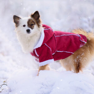 Vsepropejska Blair zimní kabátek pro psa Barva: Vínová