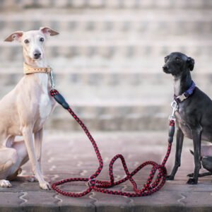Vsepropejska Climb přepínací vodítko pro psa | 280 cm Barva: Červená
