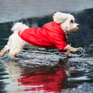 Vsepropejska Cloudy pláštěnka pro psa s kapucí Barva: Červená