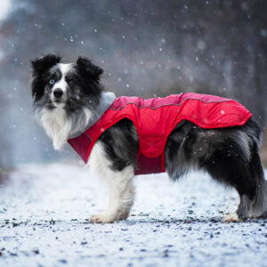 Vsepropejska Doral bunda pro psa s kožíškem Barva: Červená