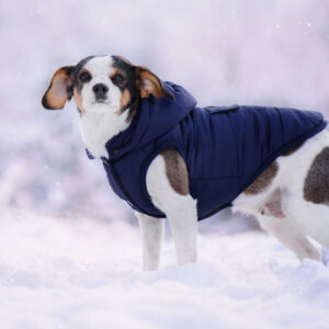 Vsepropejska Fala zimní bunda s kapucí pro psa Barva: Modrá