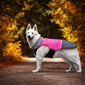 Vsepropejska Fogy stylová bunda pro psa Barva: Růžová