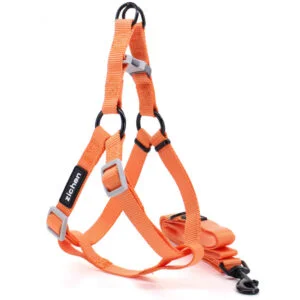 Vsepropejska Georgia postroj pro psa s vodítkem Barva: Oranžová