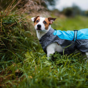 Vsepropejska Heda pláštěnka pro psa Barva: Modrá