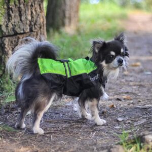 Vsepropejska Heda pláštěnka pro psa Barva: Zelená