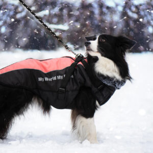 Vsepropejska Mansi zimní bunda pro psa s postrojem Barva: Oranžová