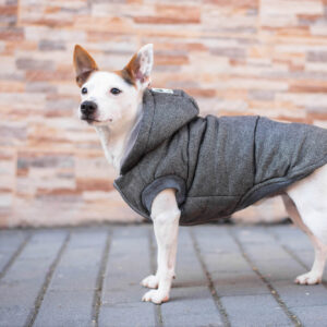 Vsepropejska Mix zimní bunda pro psa Barva: Šedá