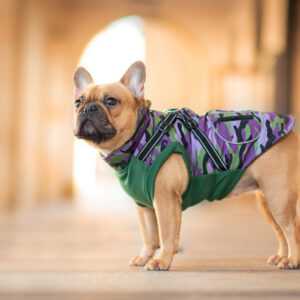 Vsepropejska Pardál zimní bunda pro psa s postrojem Barva: Zelená