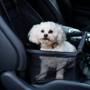 Vsepropejska Paula černá autosedačka pro psa