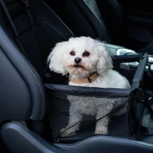 Vsepropejska Paula černá autosedačka pro psa