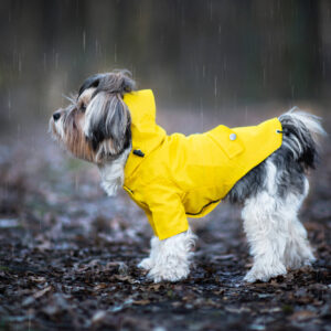 Vsepropejska Riska pláštěnka pro psa Barva: Žlutá