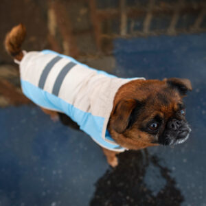 Vsepropejska Roy reflexní pláštěnka pro psa Barva: Modrá