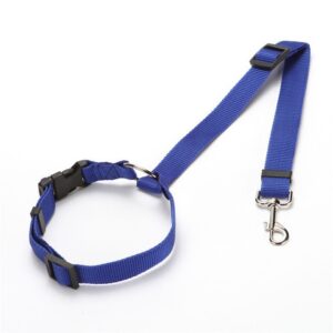 Vsepropejska Sesi bezpečnostní pás pro psa Barva: Modrá