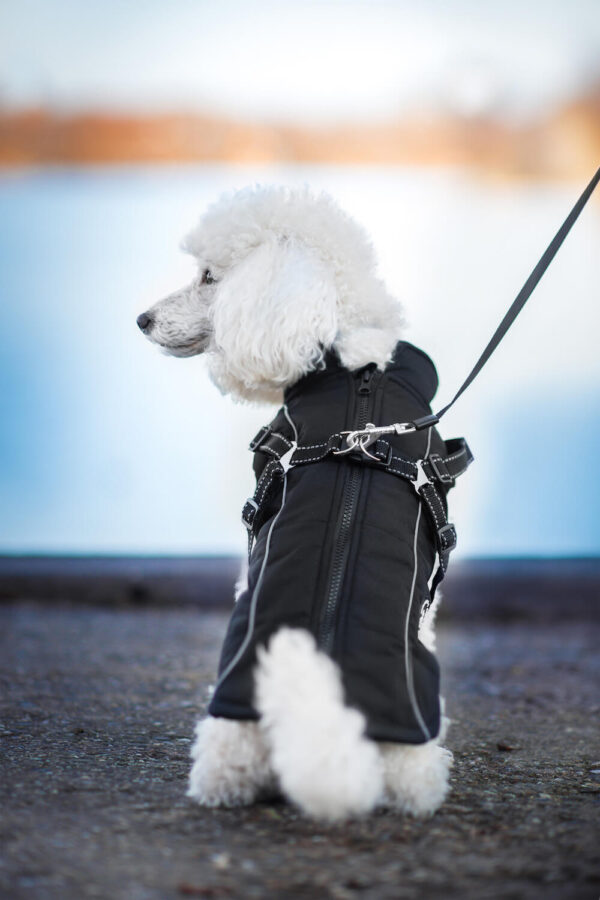 Vsepropejska Stuart obleček pro psa na zip Barva: Černá
