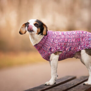 Vsepropejska Thor svetr pro psa Barva: Růžová