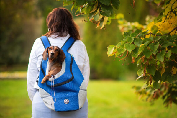 Vsepropejska Trend batoh pro psa | do 10 Kg Barva: Modrá