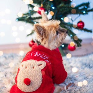 Vsepropejska Trinid vánoční mikina pro psa Barva: Červená