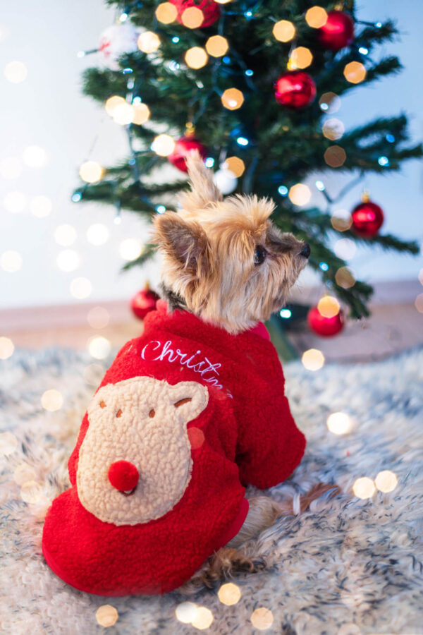Vsepropejska Trinid vánoční mikina pro psa Barva: Červená