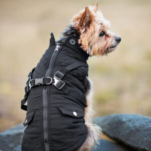 Vsepropejska Tulsi zimní bunda pro psa s postrojem Barva: Černá