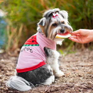 Vsepropejska Tyras letní tričko pro psa Barva: Růžová